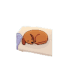 動く！ドット絵犬（個別スタンプ：20）