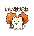 秋♡ず～っと使える♡ポメラニアン（個別スタンプ：3）