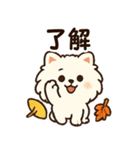 秋♡ず～っと使える♡ポメラニアン（個別スタンプ：4）