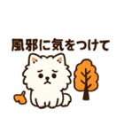 秋♡ず～っと使える♡ポメラニアン（個別スタンプ：5）