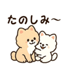 秋♡ず～っと使える♡ポメラニアン（個別スタンプ：8）