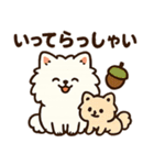 秋♡ず～っと使える♡ポメラニアン（個別スタンプ：12）