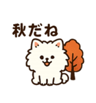 秋♡ず～っと使える♡ポメラニアン（個別スタンプ：13）