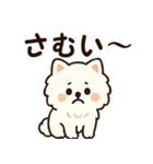 秋♡ず～っと使える♡ポメラニアン（個別スタンプ：15）