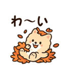 秋♡ず～っと使える♡ポメラニアン（個別スタンプ：16）
