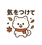 秋♡ず～っと使える♡ポメラニアン（個別スタンプ：17）