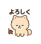 秋♡ず～っと使える♡ポメラニアン（個別スタンプ：18）