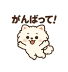 秋♡ず～っと使える♡ポメラニアン（個別スタンプ：20）