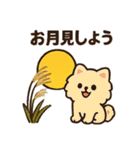 秋♡ず～っと使える♡ポメラニアン（個別スタンプ：28）