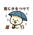 秋♡ず～っと使える♡ポメラニアン（個別スタンプ：29）