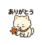 秋♡ず～っと使える♡ポメラニアン（個別スタンプ：31）