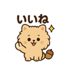 秋♡ず～っと使える♡ポメラニアン（個別スタンプ：32）