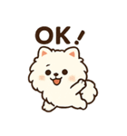 秋♡ず～っと使える♡ポメラニアン（個別スタンプ：33）