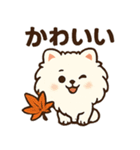 秋♡ず～っと使える♡ポメラニアン（個別スタンプ：38）