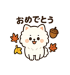 秋♡ず～っと使える♡ポメラニアン（個別スタンプ：39）
