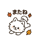秋♡ず～っと使える♡ポメラニアン（個別スタンプ：40）