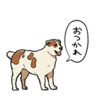 しゃべるアラバイ（個別スタンプ：10）
