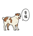 しゃべるアラバイ（個別スタンプ：11）