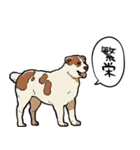 しゃべるアラバイ（個別スタンプ：12）