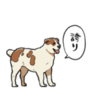 しゃべるアラバイ（個別スタンプ：22）