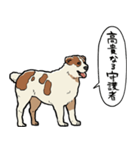 しゃべるアラバイ（個別スタンプ：24）