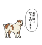 しゃべるアラバイ（個別スタンプ：37）