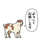 しゃべるアラバイ（個別スタンプ：40）
