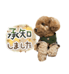 リア恋トイプーの使える言葉（個別スタンプ：3）
