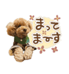 リア恋トイプーの使える言葉（個別スタンプ：17）