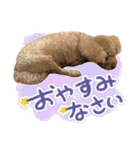 リア恋トイプーの使える言葉（個別スタンプ：32）