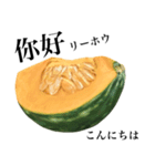 国産かぼちゃ 【台湾語】（個別スタンプ：1）