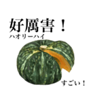 国産かぼちゃ 【台湾語】（個別スタンプ：3）