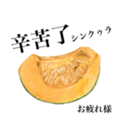 国産かぼちゃ 【台湾語】（個別スタンプ：8）