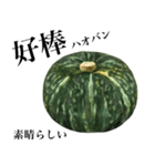 国産かぼちゃ 【台湾語】（個別スタンプ：11）