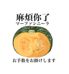 国産かぼちゃ 【台湾語】（個別スタンプ：15）