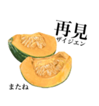 国産かぼちゃ 【台湾語】（個別スタンプ：16）