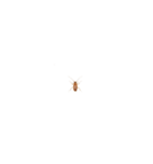 画面の上にゴミと虫ドッキリ‼‼【面白い】（個別スタンプ：2）