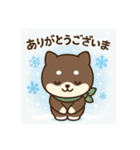 元気いっぱい冬の豆柴（個別スタンプ：1）