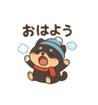 元気いっぱい冬の豆柴（個別スタンプ：2）