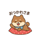 元気いっぱい冬の豆柴（個別スタンプ：3）