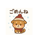 元気いっぱい冬の豆柴（個別スタンプ：4）