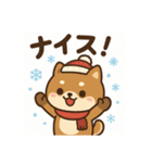 元気いっぱい冬の豆柴（個別スタンプ：5）