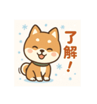 元気いっぱい冬の豆柴（個別スタンプ：6）