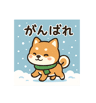 元気いっぱい冬の豆柴（個別スタンプ：7）