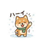元気いっぱい冬の豆柴（個別スタンプ：9）