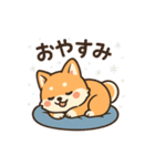 元気いっぱい冬の豆柴（個別スタンプ：11）