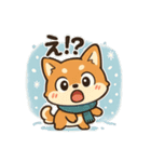 元気いっぱい冬の豆柴（個別スタンプ：12）