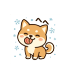 元気いっぱい冬の豆柴（個別スタンプ：13）
