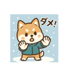 元気いっぱい冬の豆柴（個別スタンプ：14）