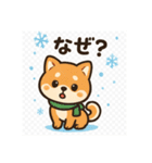 元気いっぱい冬の豆柴（個別スタンプ：16）